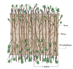 Matelas de branches